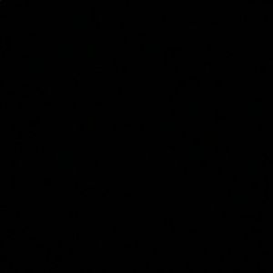 Meet your Posher, Jayla